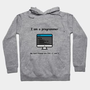 I am a programmer Hoodie